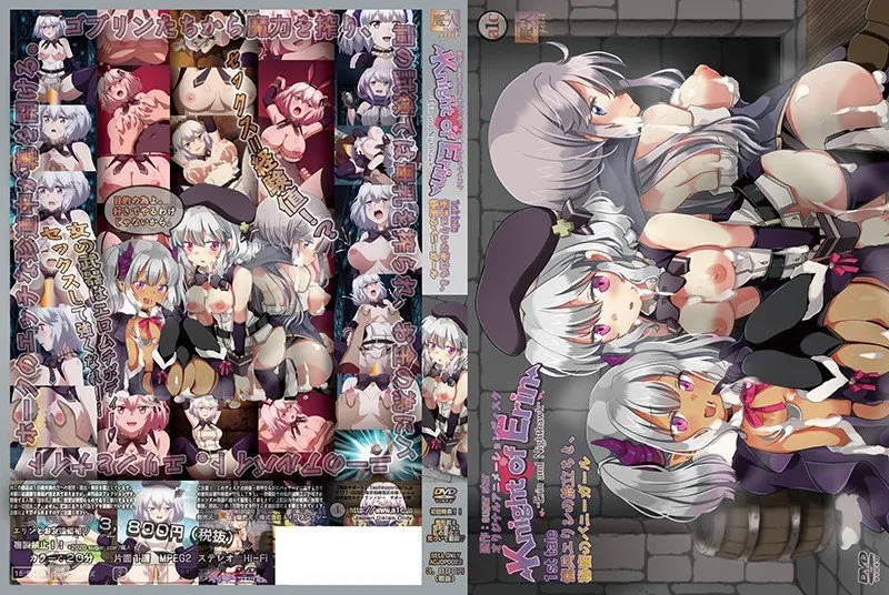 艾琳騎士 1