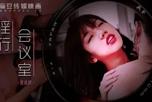 MDWP-0023 淫行會議室