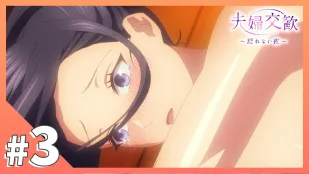 夫婦交歡～回不去的夜晚 3