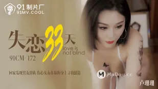 91CM-172 失戀33天