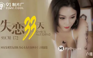 91CM-172 失戀33天