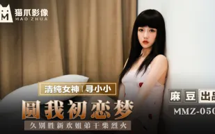 MMZ-050 圓我初戀夢 久別勝新歡姐弟乾柴烈火 尋小小