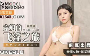 MSD-038 空姐的飛淫之旅 奢靡篇 紙醉金迷千里送穴 陳美琳