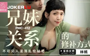 PMC-412 兄妹關系的修補方式 不可見人淫蕩亂倫秘密