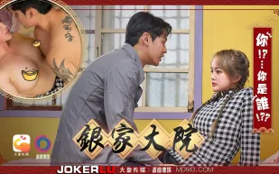 銀家大院之你是誰啊